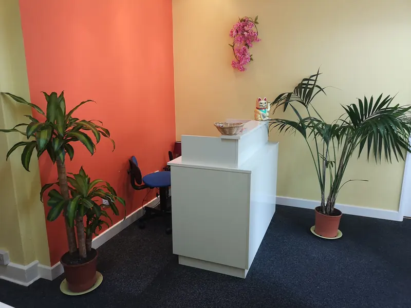 The reception desk at Natural Wellbeing, with plants and a warm orange feature wall
